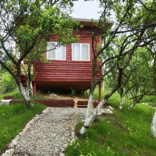 Cabana Livada cu pruni Berevoeşti