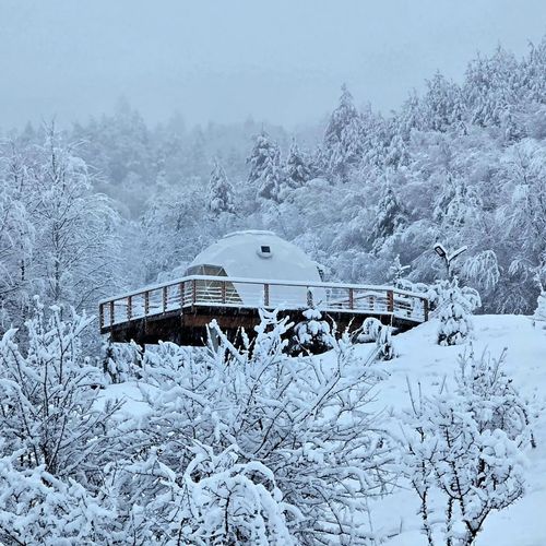 Zenzia Glamping Piatra Neamț