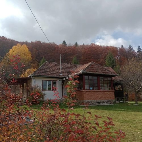 Szakadáti Vendégház-Casa din Săcădat Sovata – Sovata, România
