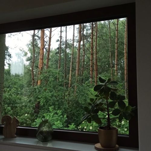 Dom całoroczny 7-osobowy Cicho-Ciszej Wiktorowo – Wiktorowo, Polska