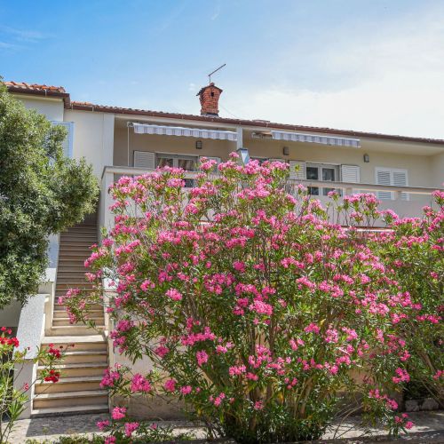 Apartment Oleandra Mandre – Mandre, Chorvatsko