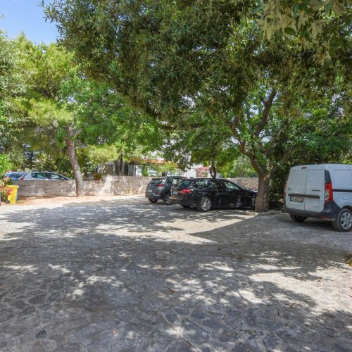 Apartment Oleandra Mandre – Mandre, Chorvatsko