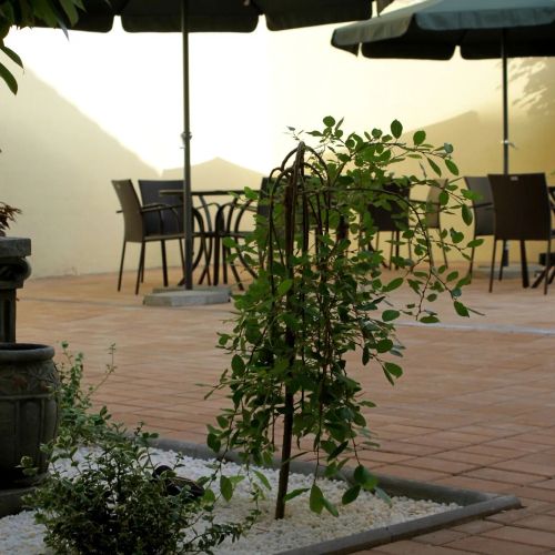 Rosen Villa Sibiu – Sibiu, Rumunsko