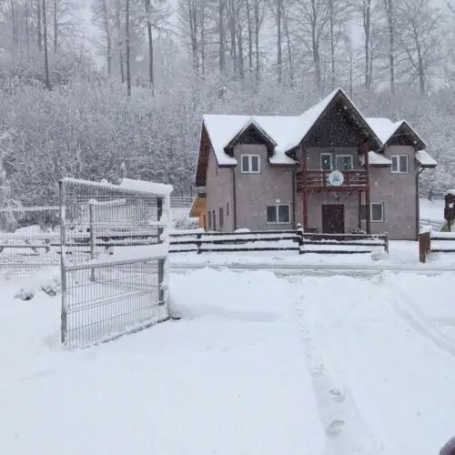 Casa Vânătorului Buzăiel 