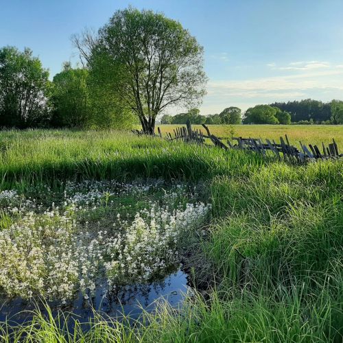 Agroturystyka Żubr – Siemianówka, Polska