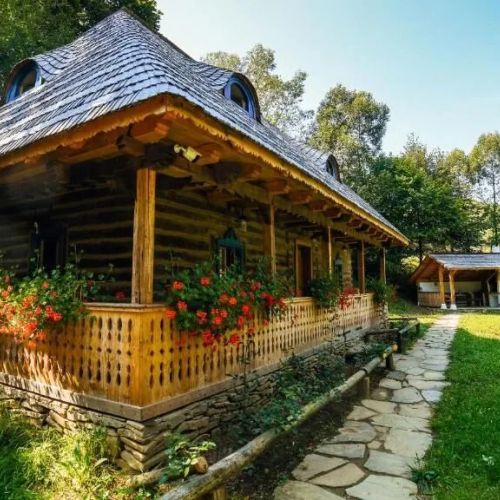 Casa lu' Ion Vișeu de Sus