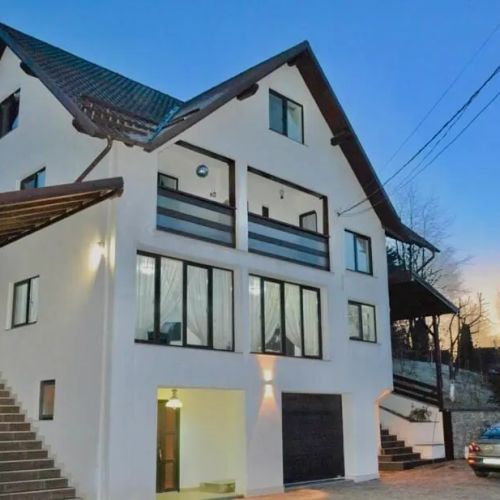 Vila Vio Borșa