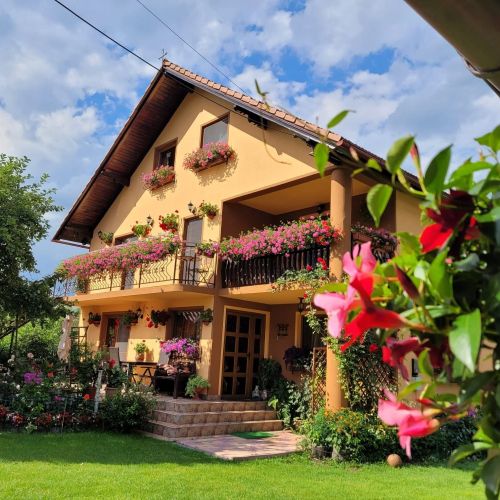 Vila Deni Predeluț – Predelut, România