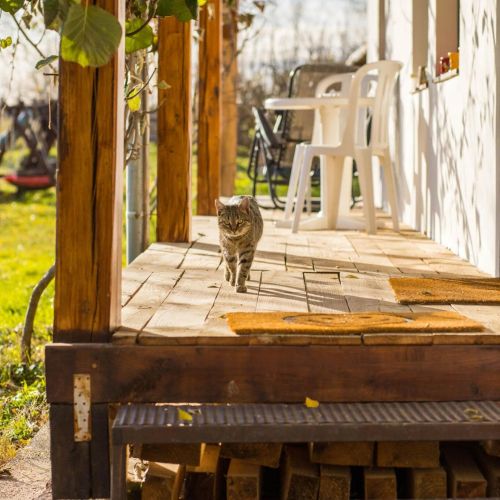 Pogácsás Porta Vendégház Kiskorpád – Kiskorpád, Ungaria