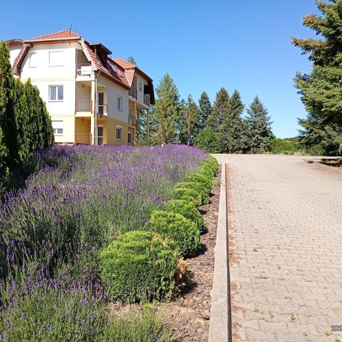 Oxigén Apartman1 Bükkszentkereszt – Bükkszentkereszt, Ungaria