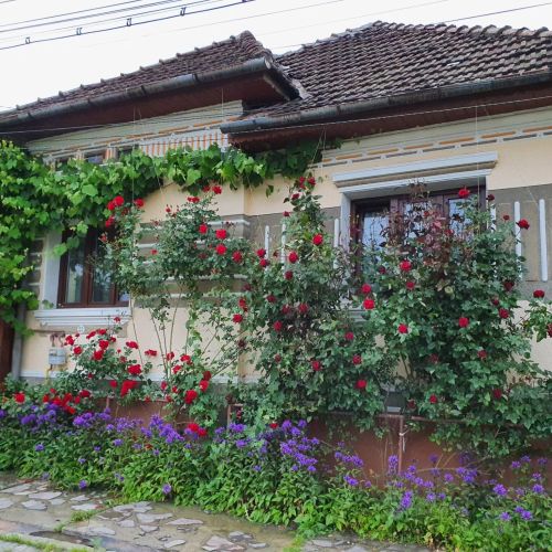 Pensiunea Leia Cârțișoara – Cârţişoara, România