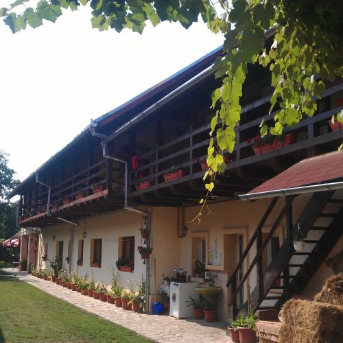 Pensiunea Leia Cârțișoara – Cârţişoara, România