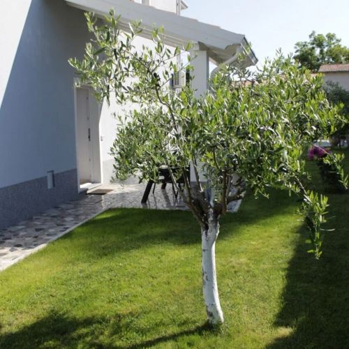 Apartments TITONEL Savudrija – Savudrija, Chorwacja
