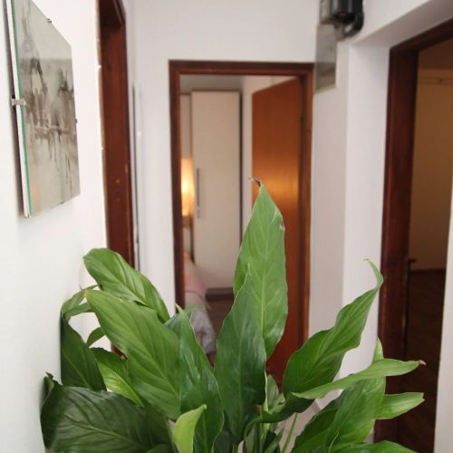 Apartments Alba Adria Poreč – Poreč, Croația