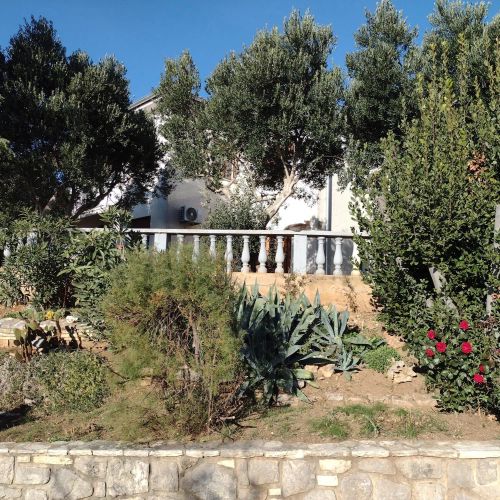 Apartment Anchi Povile