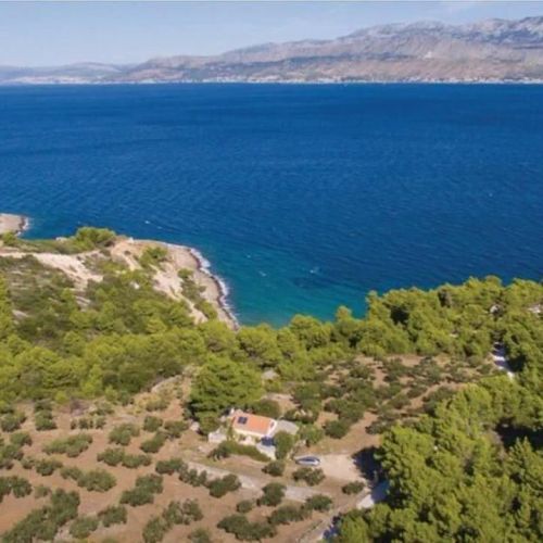 Secluded Family Friendly House Cove Dučac, Brač - 14312 Dučac