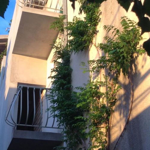 Apartments And Rooms By The Sea Drašnice, Makarska - 22573 Drašnice – Drašnice, Chorvatsko