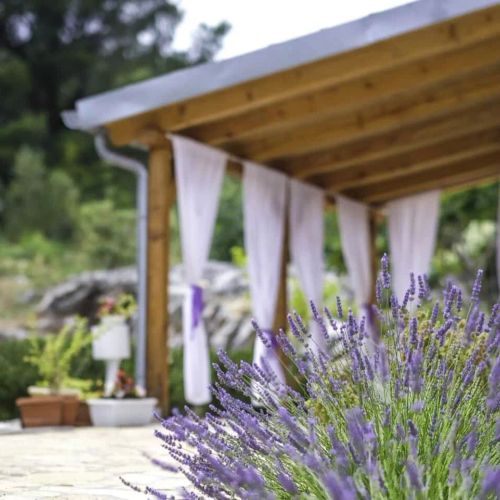 House Marie's Lavander Dream Raslina