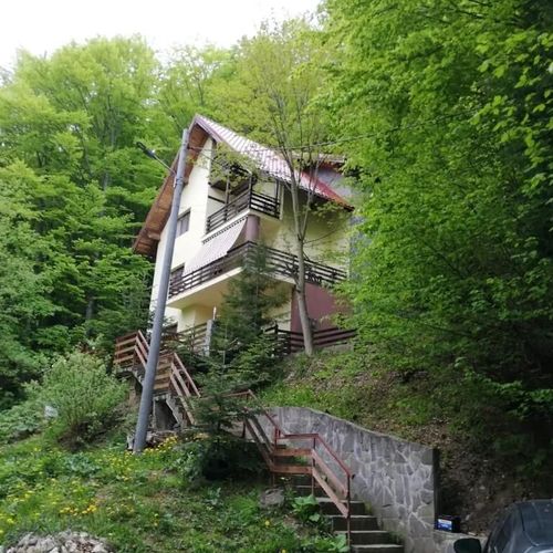 Casa Din Pădure Sinaia