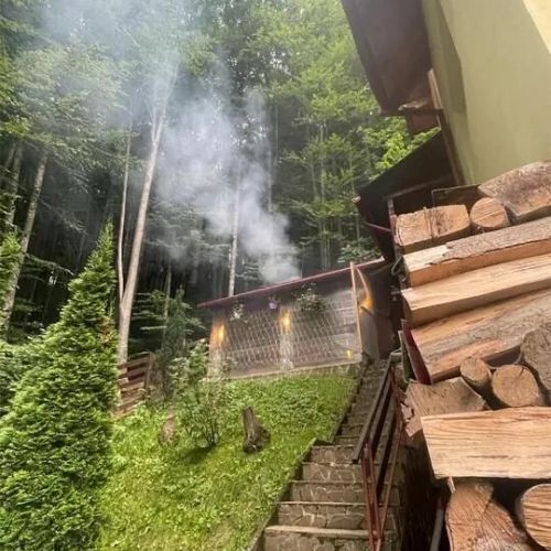 Casa Din Pădure Sinaia – Sinaia, Rumunia