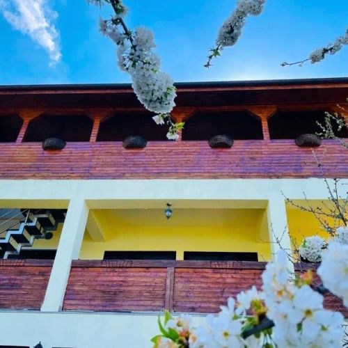 Casa Camelia Dubova – Dubova, România