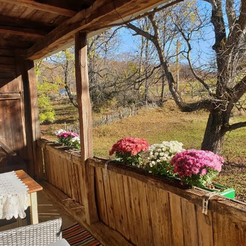 Casa Bătrână Zece Hotare