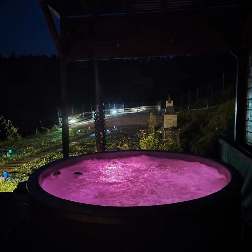 Michałówka domek w górach przy lesie -Energylandia – Targanice, Polonia