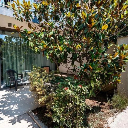 Apartamente De Inchiriat Aifen Eforie Nord - Litoral – Eforie Nord, România
