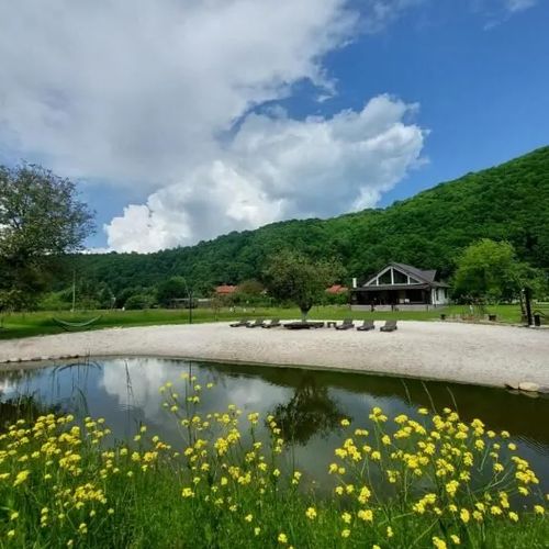 Ciucea185 -Casa din Livadă 