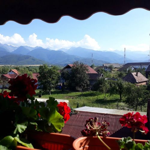 Pensiunea Leia Transfăgărășan Cârţişoara – Cârţişoara, România