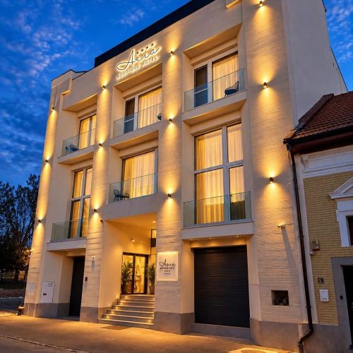 Aris Boutique Hotel & Spa Oradea