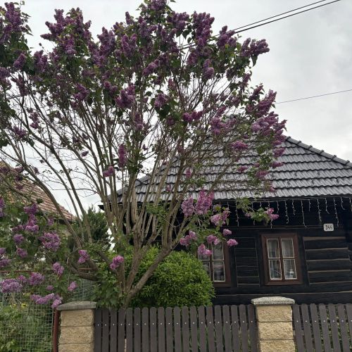 Drevenica Raj Bystrička