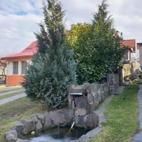 Casa cu Fântână Borlești