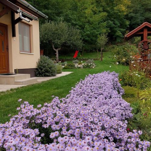 Faluvégi Vendégház Cserépváralja – Cserépváralja, Węgry