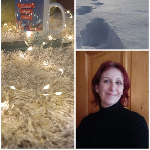 Kicsi Rigó Nyaralóház Lakitelek