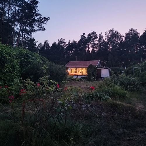 SUPy, Krokodyl & Las Trzebiechowo