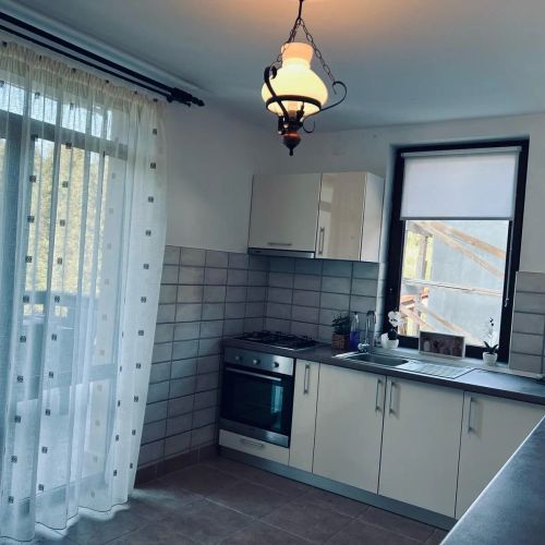 Vila Alex Arieseni Vârtop – Vârtop, România