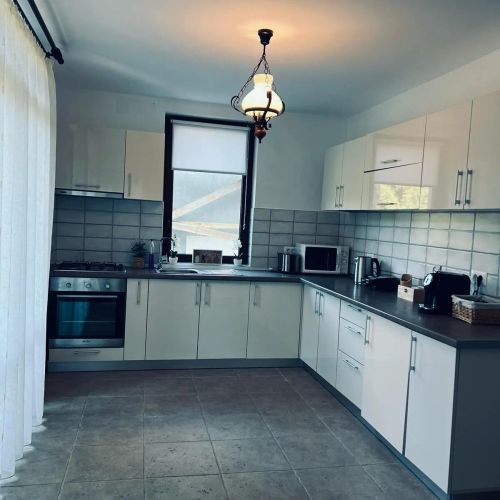 Vila Alex Arieseni Vârtop – Vârtop, România