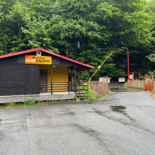 Kemp Kajlovec
