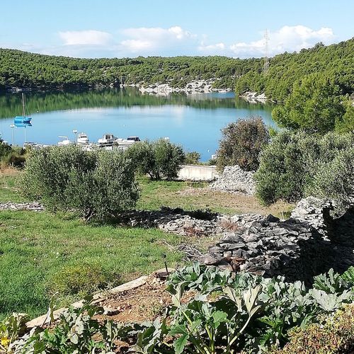 Apartman Slanraj Jadrtovac