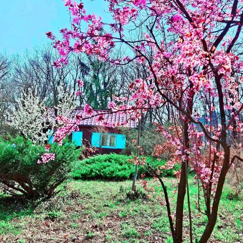 Meredély Kunyhószállás Leányfalu