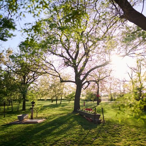 Kőris Tanya Vendégház Hódmezővásárhely