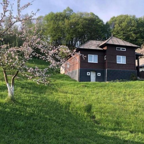 Cabana Hatere Moisei