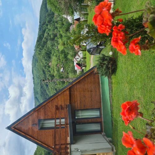 Cabana A frame Ina&Cristi Târsa – Târsa, România