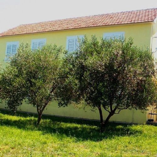 Apartments Mir Zaton – Zaton, Chorvatsko