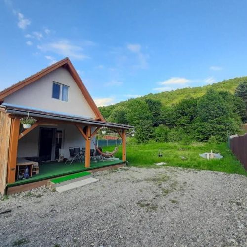 Mountain Cozy Home Sub Cetate