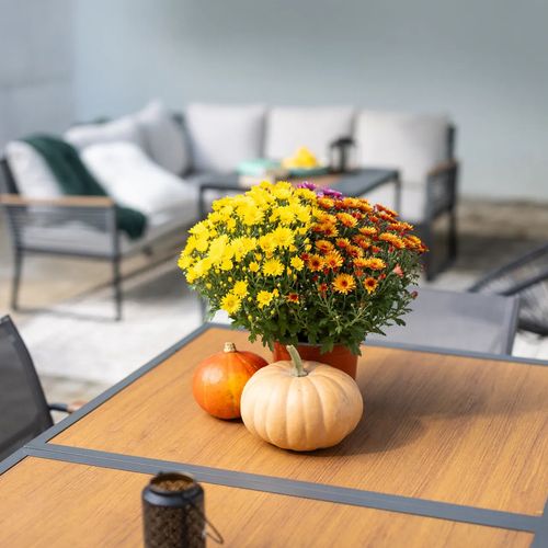 Frizzante Vendégház Badacsonytomaj