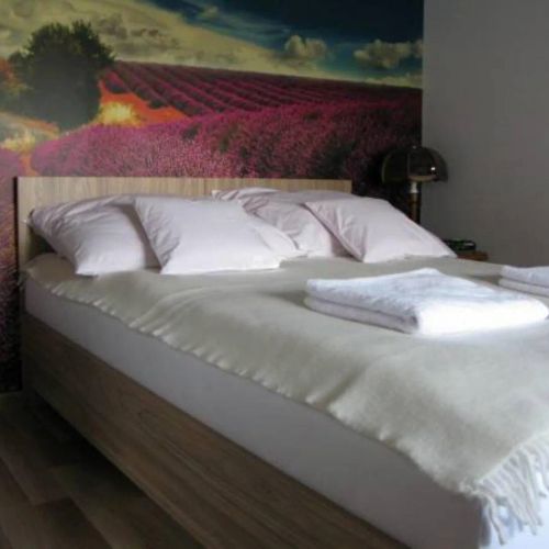 Apartament Lawenda Rzeszów