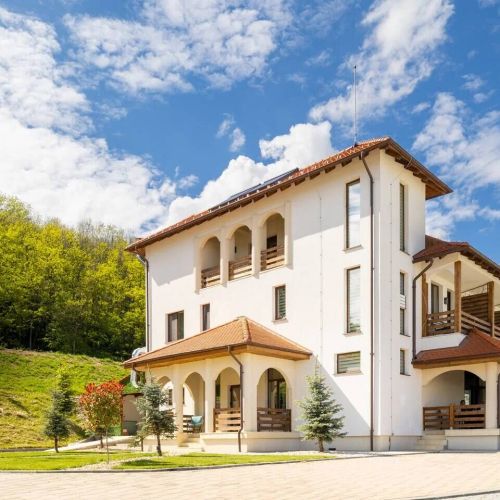 Charming and Modern Double Room with Pool View 7 Micești