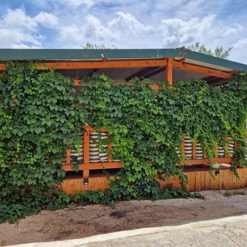 Apartmanok Parkolóhellyel Grebastica Sibenik - 23339 Grebaštica